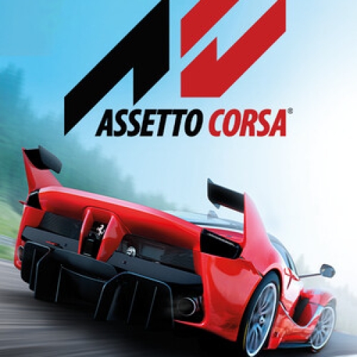  Assetto Corsa + Garanti